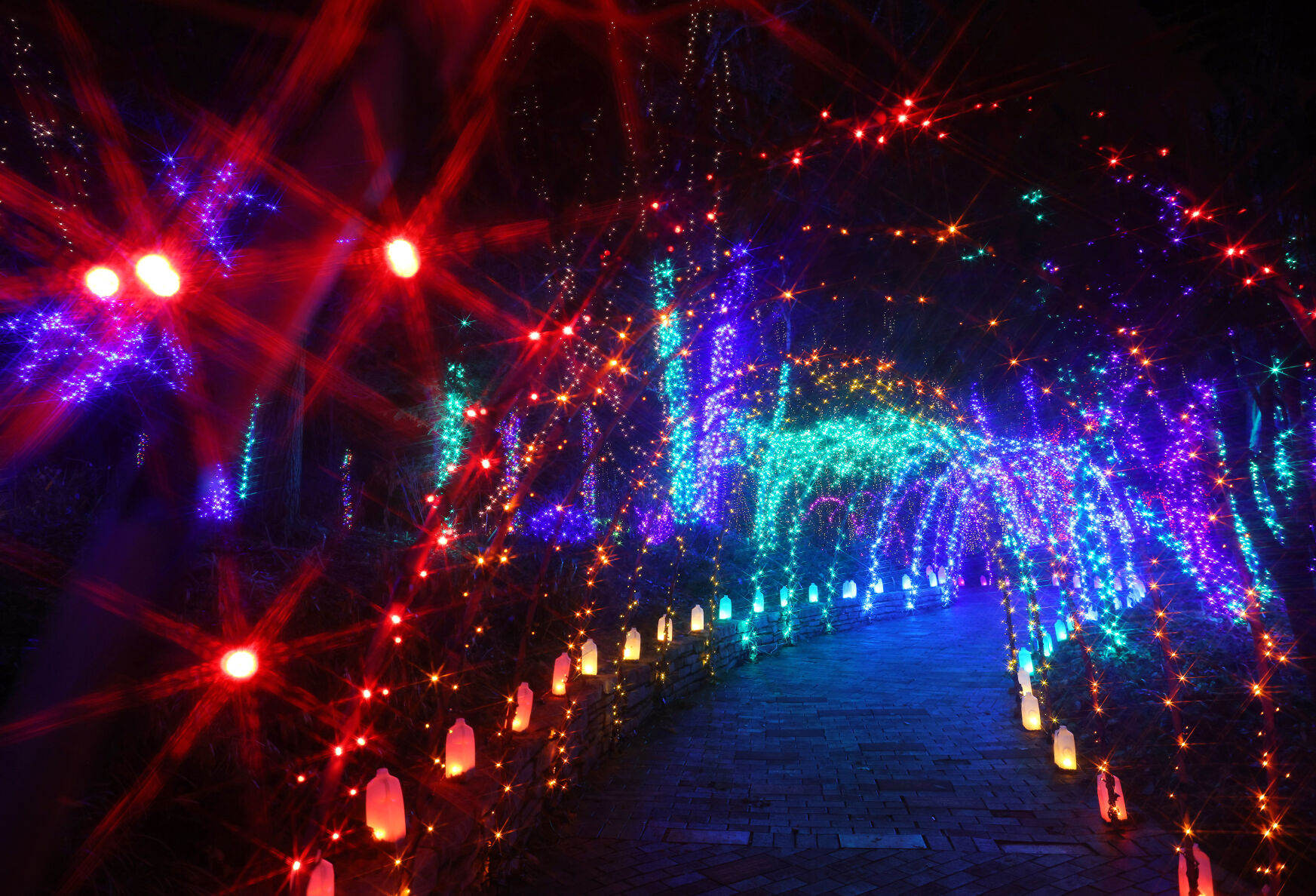 SOWI_231124_JVG_LIGHTS11.JPG
